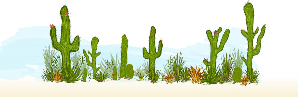 Illustrator Draw toteutettu kaktusautiomaa