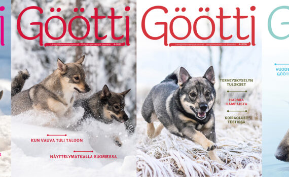 Göötti-lehti on Länsigöötanmaanpystykorvat ry:n jäsenjulkaisu